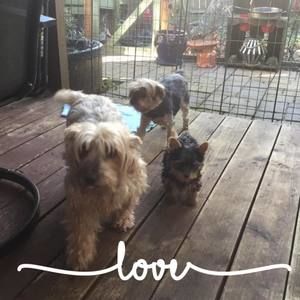 Meet your Posher, Sandy